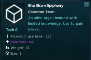 Bhu Ekam Epiphany.PNG